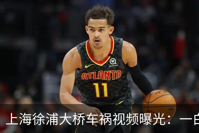 上海徐浦大桥车祸视频曝光：一白车外道超车变道，大货车躲避不及冲向对向，事故造成一死两伤
