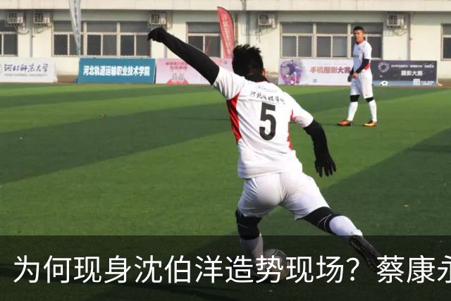 为何现身沈伯洋造势现场？蔡康永：一大原因是西门町同志酒吧被查