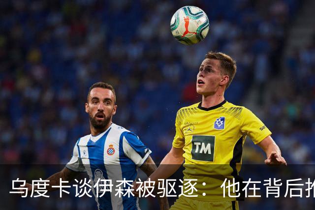 乌度卡谈伊森被驱逐：他在背后推人了 二级恶犯的判罚我挺意外的