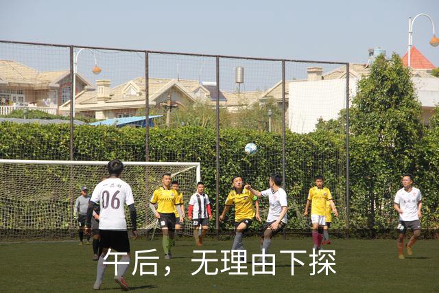 午后，无理由下探