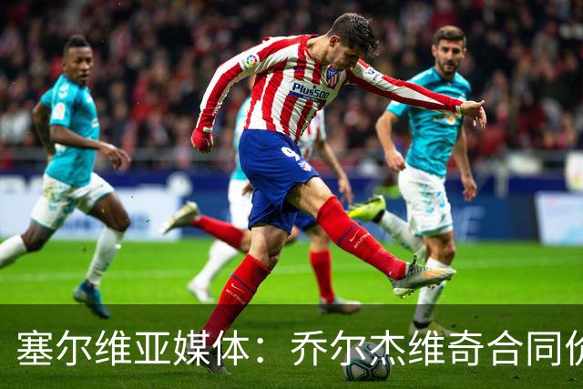 塞尔维亚媒体：乔尔杰维奇合同价值100万美元