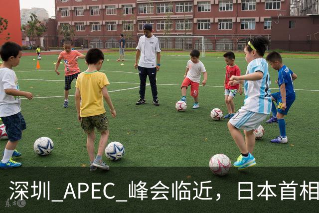 深圳 APEC 峰会临近，日本首相高市表态，中国是重要邻国