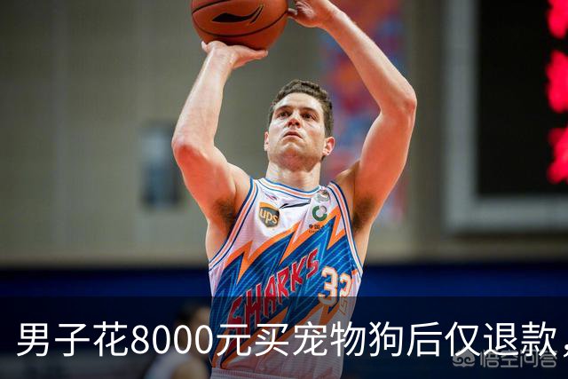 男子花8000元买宠物狗后仅退款，商家驱车600公里上门寻狗