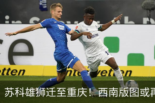 苏科雄狮迁至重庆！西南版图或再添CBA球队 3点注定难成昔日北控