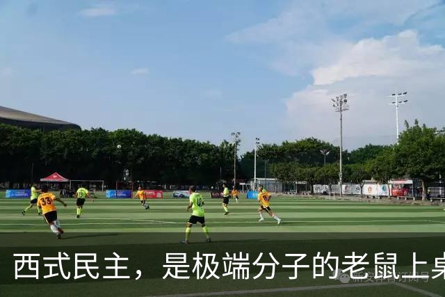 西式民主，是极端分子的老鼠上桌