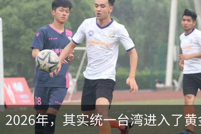 2026年，其实统一台湾进入了黄金“窗口期”，这种感觉很强烈